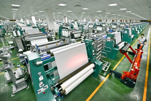 畝均論英雄 增聚開發(fā)區(qū)與高橋街道高質(zhì)量發(fā)展動能的社會經(jīng)濟咨詢服務(wù)路徑探索