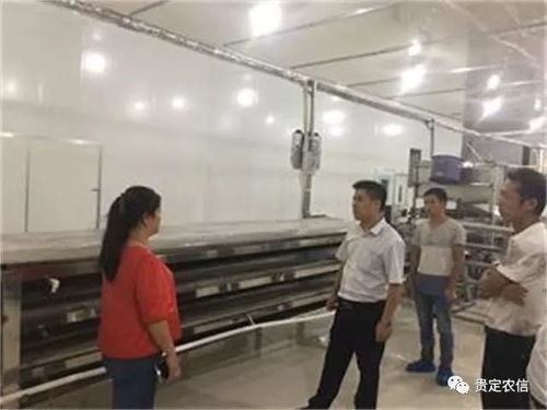 北京貴州米粉廠里的“金融夜校” 一碗粉背后的社會經(jīng)濟咨詢服務(wù)